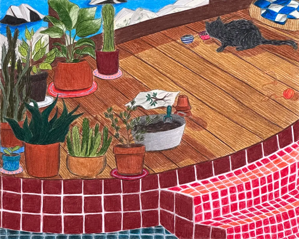 a_cat_with_his_view_2025_pencils_on_paper_20_3x25_4cm_oak_frame_with_museum_glass_30_5x35_4cm_1_1x