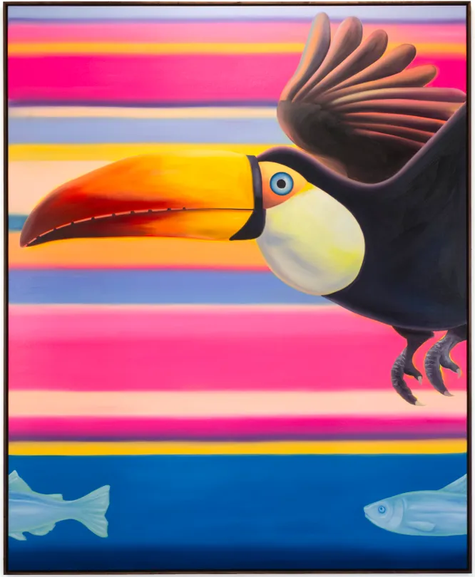 catch_me_if_toucan_2026_01